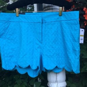 New Turquoise scalloped hem shorts